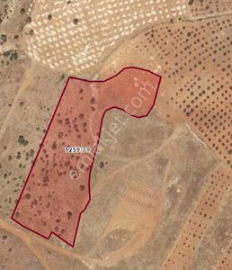 Arsa-Arazi