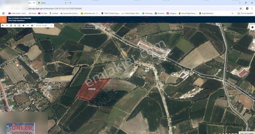 Arsa-Tarla