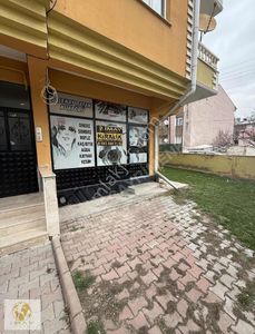 İşyeri-Dükkan & Mağaza