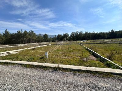 Arsa-Tarla