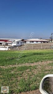 Arsa-Konut İmarlı