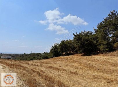 Arsa-Tarla