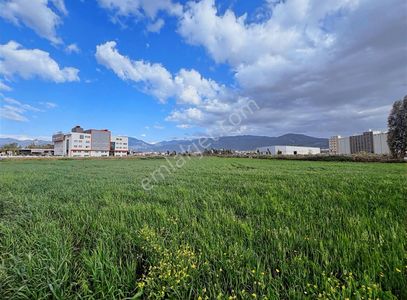Arsa-Ticari İmarlı
