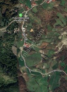 Arsa-Tarla