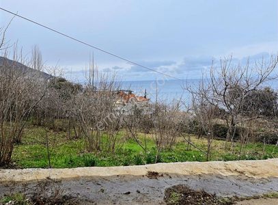 Arsa-Konut İmarlı