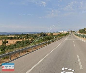 Arsa-Zeytinlik