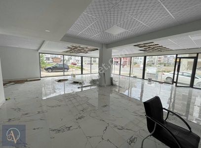 İşyeri-Dükkan & Mağaza