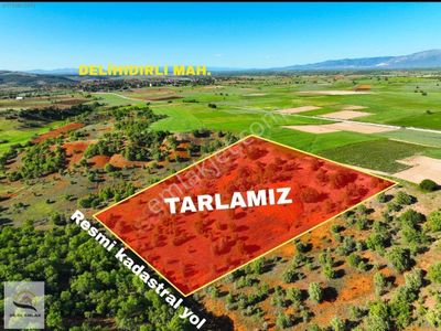 Arsa-Tarla