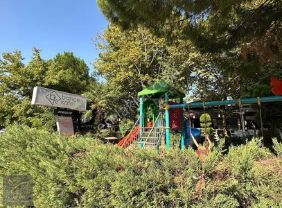 İşyeri-Kafe & Bar