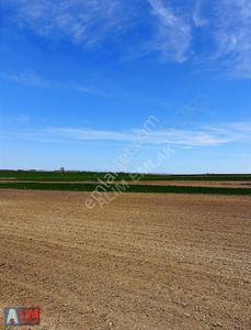 Arsa-Tarla