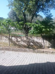 Arsa-Arazi