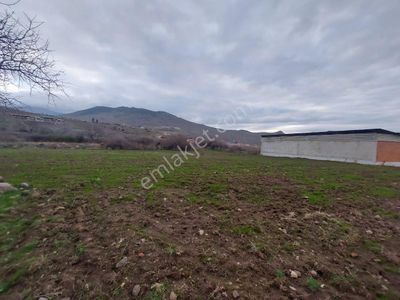 Arsa-Konut İmarlı
