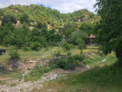 Arsa-Tarla