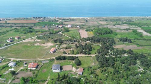 Arsa-Tarla