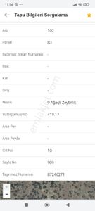 Arsa-Zeytinlik