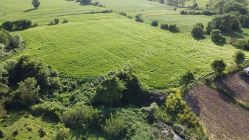 Arsa-Tarla