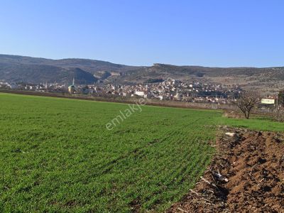 Arsa-Tarla