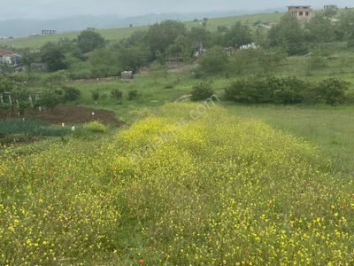 Arsa-Tarla