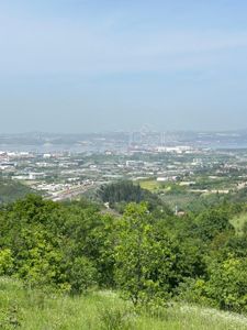 Arsa-Tarla