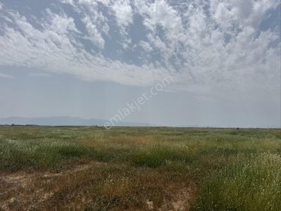 Arsa-Tarla