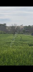 Arsa-Tarla