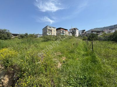 Arsa-Konut+Ticaret Alanı