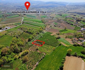 Arsa-Bağ & Bahçe