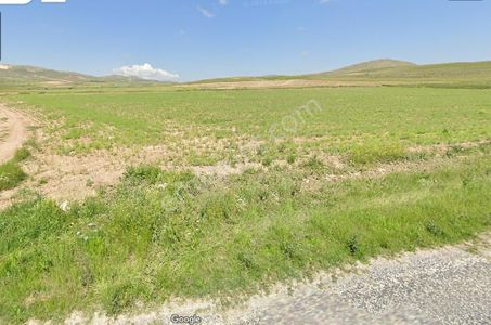 Arsa-Tarla