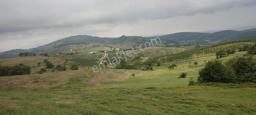 Arsa-Tarla