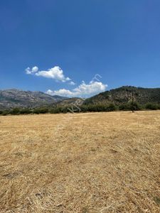 Arsa-Tarla
