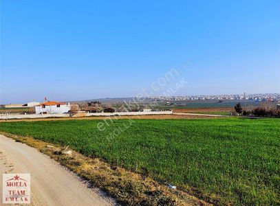 Arsa-Bağ & Bahçe
