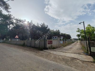 Arsa-Tarla