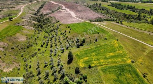 Arsa-Tarla