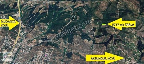 Arsa-Tarla