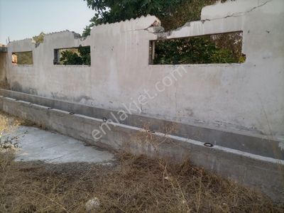 Arsa-Zeytinlik