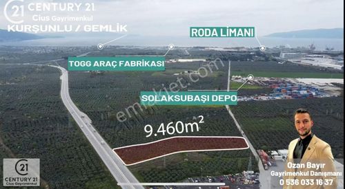Arsa-Zeytinlik