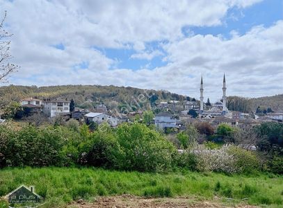 Arsa-Konut İmarlı