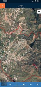 Arsa-Zeytinlik
