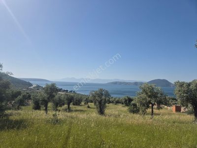 Arsa-Tarla