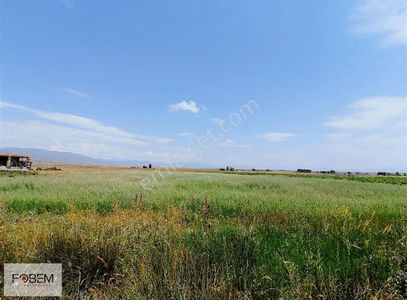 Arsa-Tarla