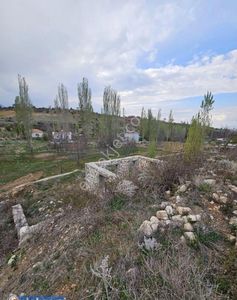 Arsa-Bağ & Bahçe