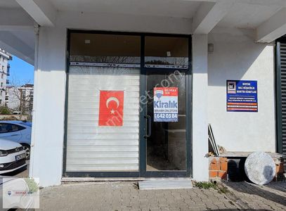 İşyeri-Dükkan & Mağaza