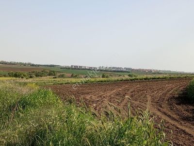 Arsa-Tarla