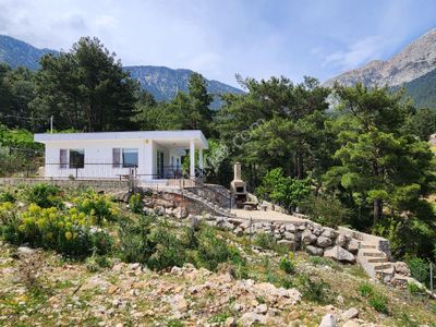 Konut-Villa
