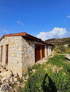 Arsa-Zeytinlik
