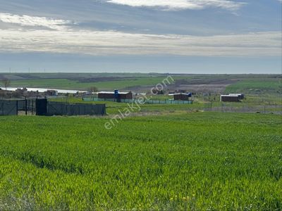 Arsa-Konut İmarlı