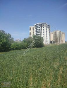 Arsa-Konut İmarlı