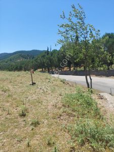 Arsa-Tarla
