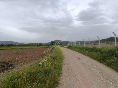 Arsa-Tarla