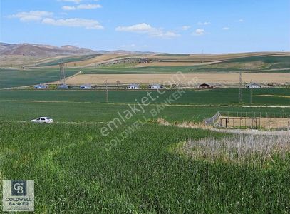 Arsa-Villa İmarlı